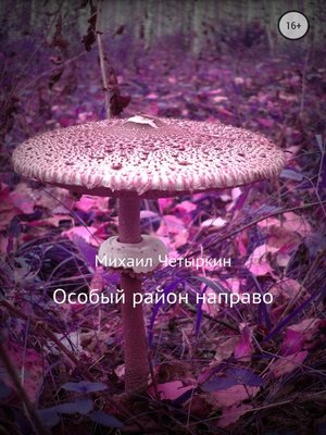 cover image of Особый район направо